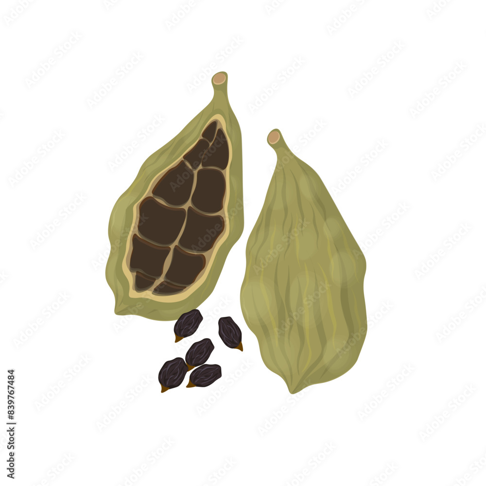 Naklejka premium Vector illustration logo Clip art Cardamom pods and seeds