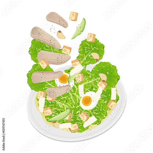 Vector illustration logo Clip art levitation Chicken Caesar Salad 