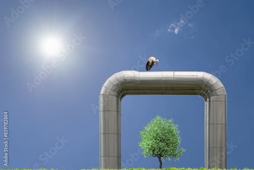 A stork stands on a climate-friendly district heating pipeline