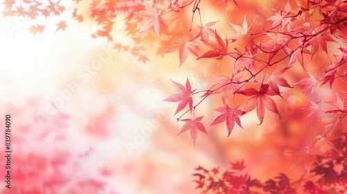 Beautiful autumn background  red maple foliage in japan