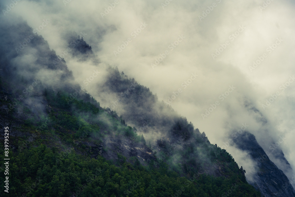 Misty Mountain Forest in Norway Misty Mountain Forest in Norway