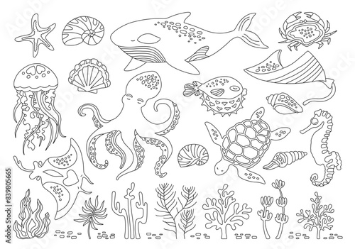 Ocean sea animals doodle outline set. Marine funny comic cartoon design for children jellyfish, seashell and seahorse, fish. Nautical undersea starfish, turtle and octopus, crab, whale, medusa vector