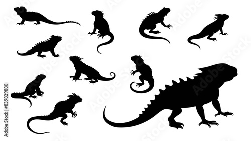set of iguana silhouette vector design