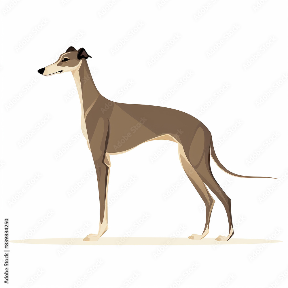 Minimalistic illustration of a greyhound dog standing in profile. Perfect for design projects, print, and web use. Minimalistic illustration of a greyhound dog standing in profile. Perfect for design projects, print, and web use.