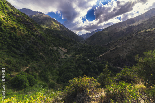 panorama with a view of the green gorge in the Tien Shan mountains in summer in Kazakhstan in the Aksu-Dzhabagly Nature Reserve