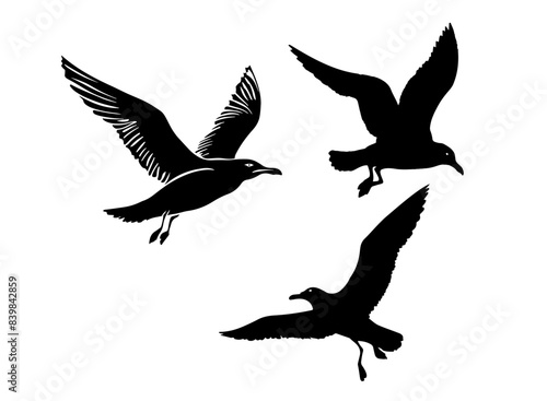 Set of black seagull silhouettes on white background
