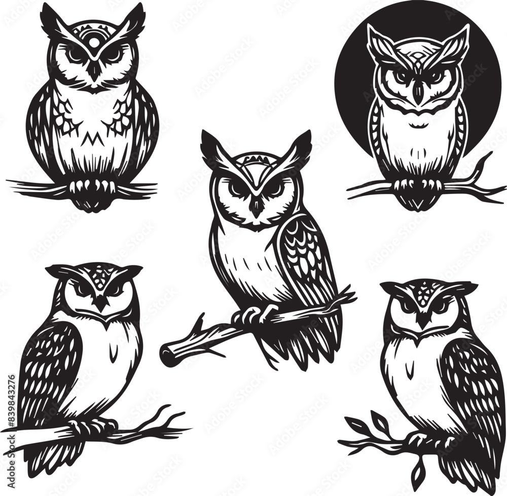 set of owls on black silhouette set of owls on black silhouette