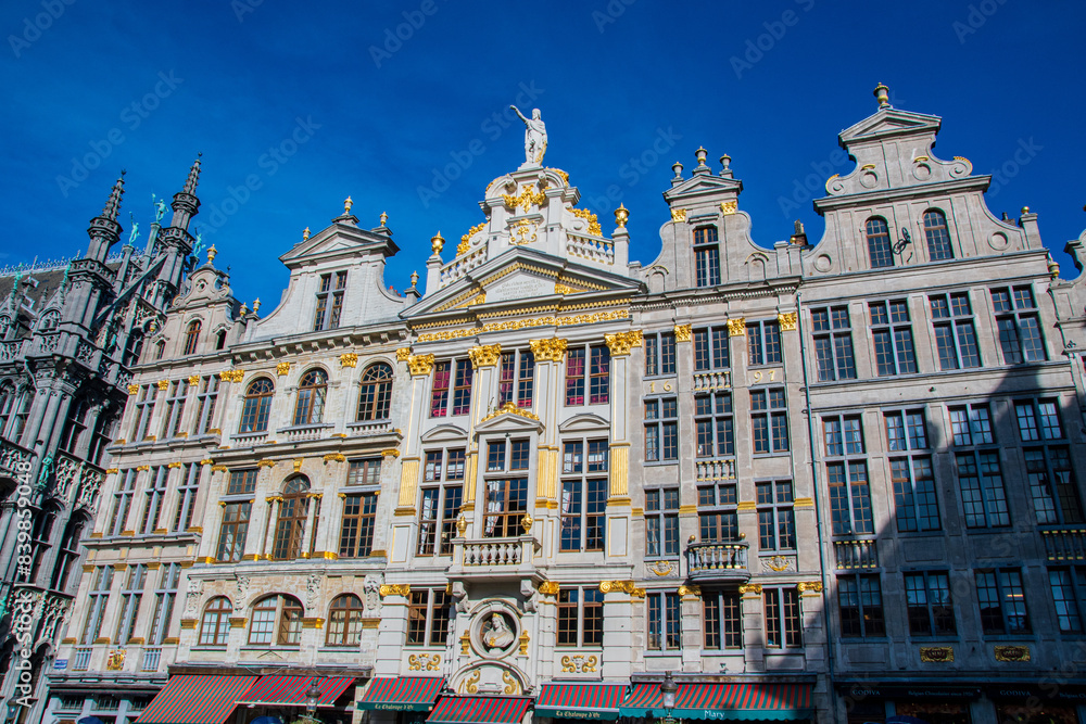 Fototapeta premium grand place
