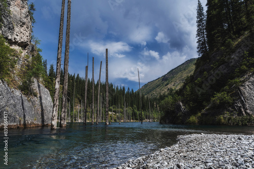 landscape with a beautiful lake with blue water and tree trunks of a sunken forest in summer. Kaindy Lake in the Tien Shan mountains in Kazakhstan near Almaty photo