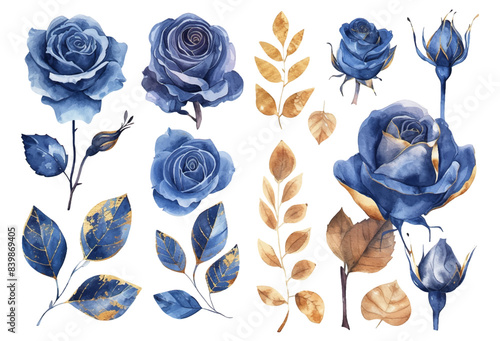 Rose flowers watercolor set. Collection of blue or navy blue roses and gold leaves isolated on white background. Vector illustration