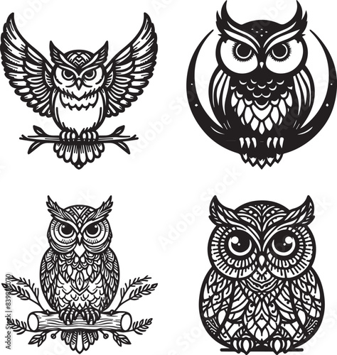 set of owls on white background