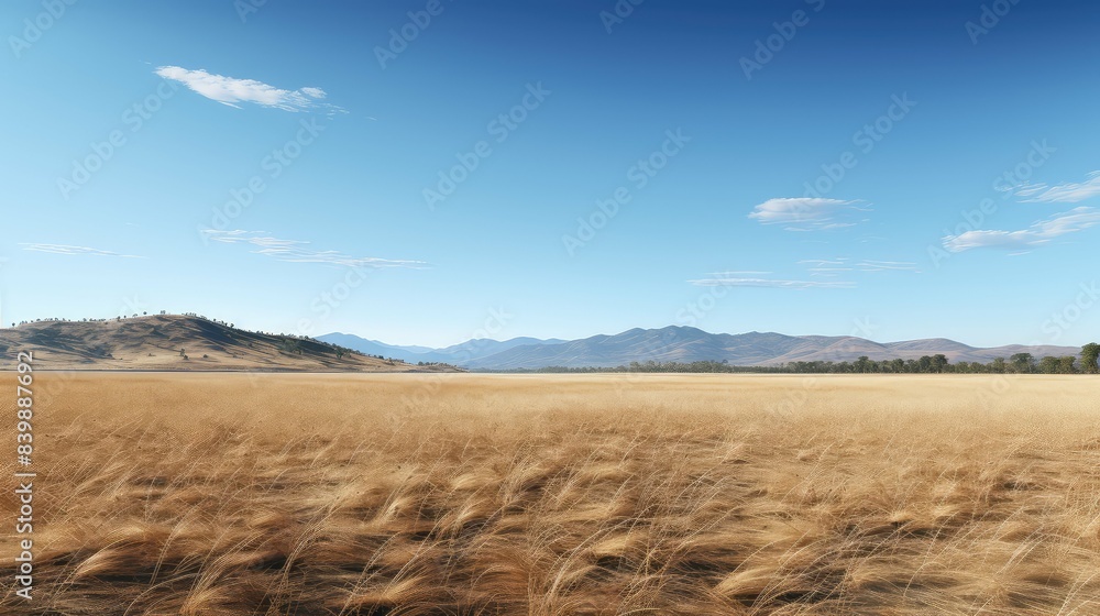landscape brown grass landscape brown grass