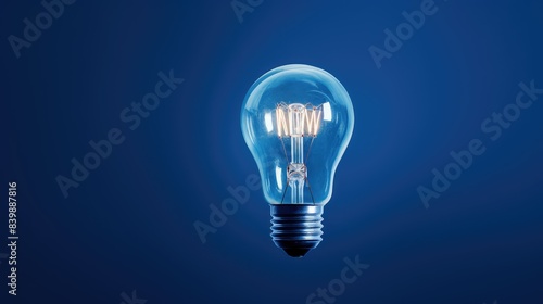 delicate light bulb on blue background