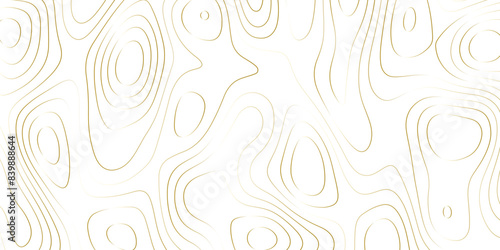 gold wave paper curved reliefs mount map abstract background, Abstract topographic contours map background, Topography map background. Vector geographic contour. Metal plates concept. 3D origami .