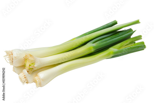 Fresh Green Onions Isometric on white background