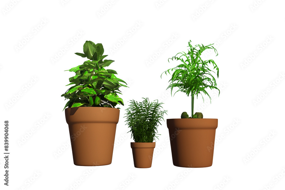 Fototapeta premium Potted plants isolated on transparent background