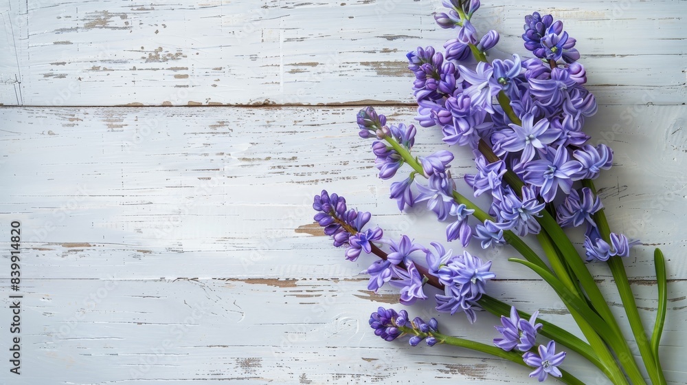 Obraz premium A bouquet of purple flowers is arranged on a white background. The flowers are of various sizes and are placed in a way that creates a sense of depth and dimension. Scene is one of beauty
