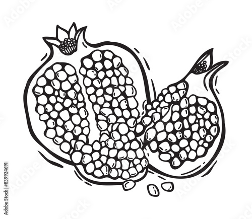 Vector composition of pomegranate halves with pulp. Botanical black and white illustration, hand drawn in linocut style. Drawing for food and cosmetics packaging design, menus, recipes, postcards