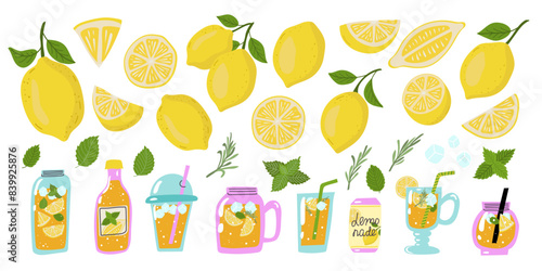 Summer big set with lemons,lemonade, mint, rosemary and ice cube. Lemonade in different glass container