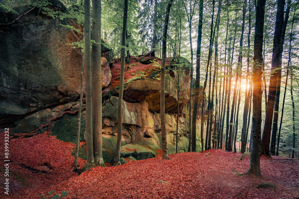 Funtastic summer scene of foliage tree forest with huge stone. Picturesque sunrise in popular tourist destination - Protyete Kaminya, Carpathians, Ukraine. Beauty of nature concept background. Funtastic summer scene of foliage tree forest with huge stone. Picturesque sunrise in popular tourist destination - Protyete Kaminya, Carpathians, Ukraine. Beauty of nature concept background.