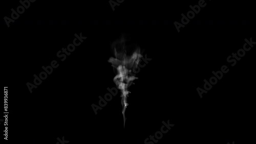 A mesmerizing digital scene showcasing delicate wisps of smoke rising against a deep black background, perfect for overlays and atmospheric effects.