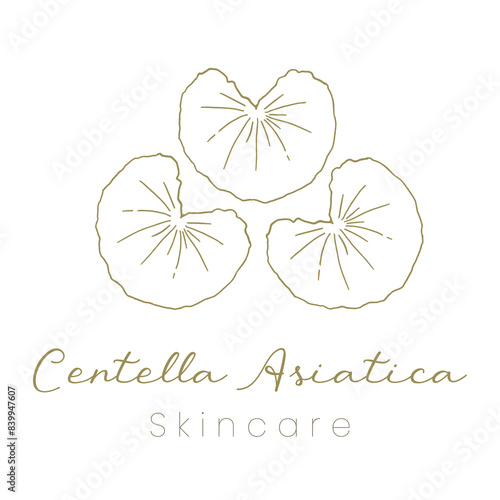 Gotu Kola ( Centella Asiatica ) Beautifull and Natural Skincare Logo
