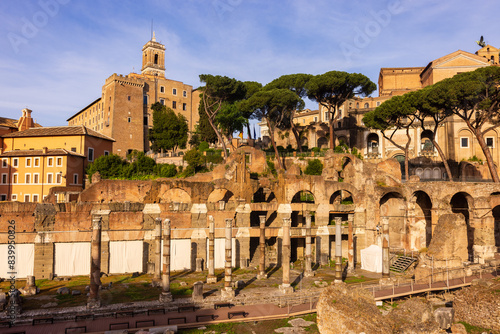 The Rome Forum and Palatine 