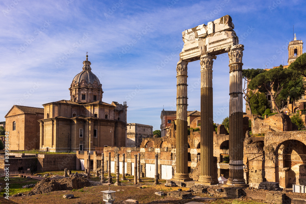 Fototapeta premium The Rome Forum and Palatine 