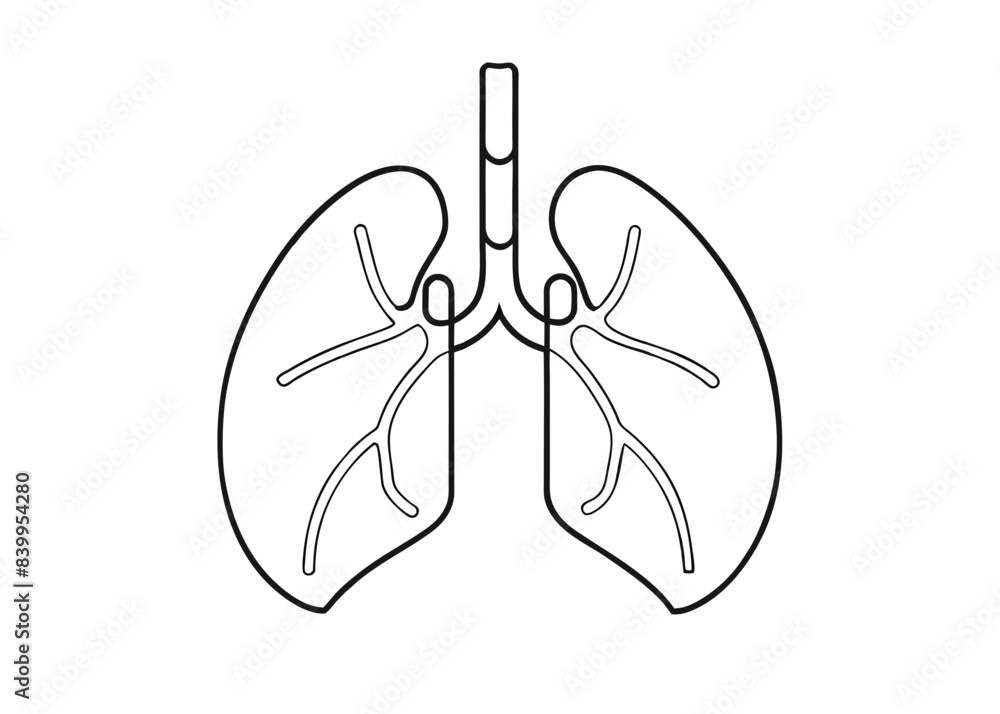 Continuous one line drawing of human organ - Lungs. Lungs outline vector illustration
Continuous one line drawing of human organ - Lungs. Lungs outline vector illustration