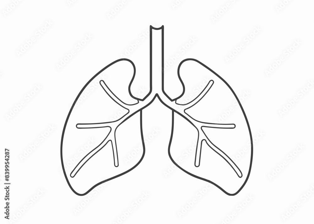 Continuous one line drawing of human organ - Lungs. Lungs outline vector illustration
