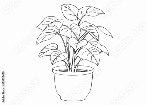 Continuous one line drawing of house plant in a pot. House plant and flower in a pot single outline vector illustration
