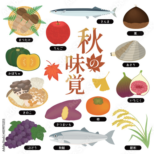 秋の味覚のイラストセット
