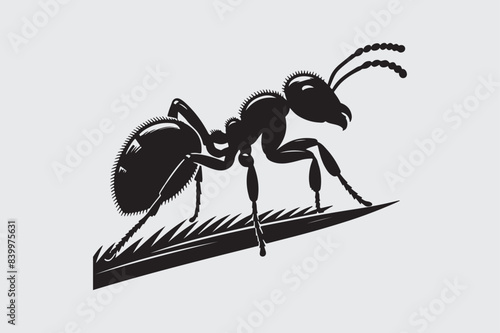 Ant Silhouette vector illustration  photo