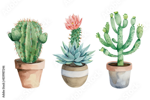 Set of cactus watercolor, cacti plant hand drawn, Vector illustration isolated on white background