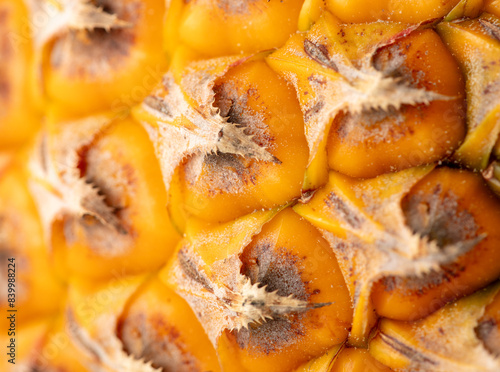 Orange peel of a ripe pineapple as an abstract background. Texture