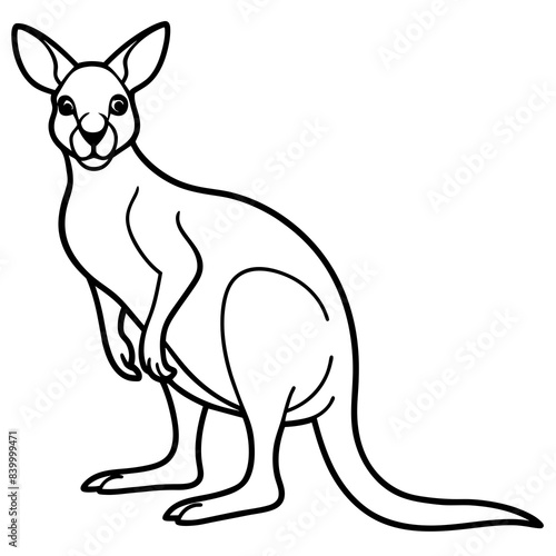 kangaroo line art vector illustration.