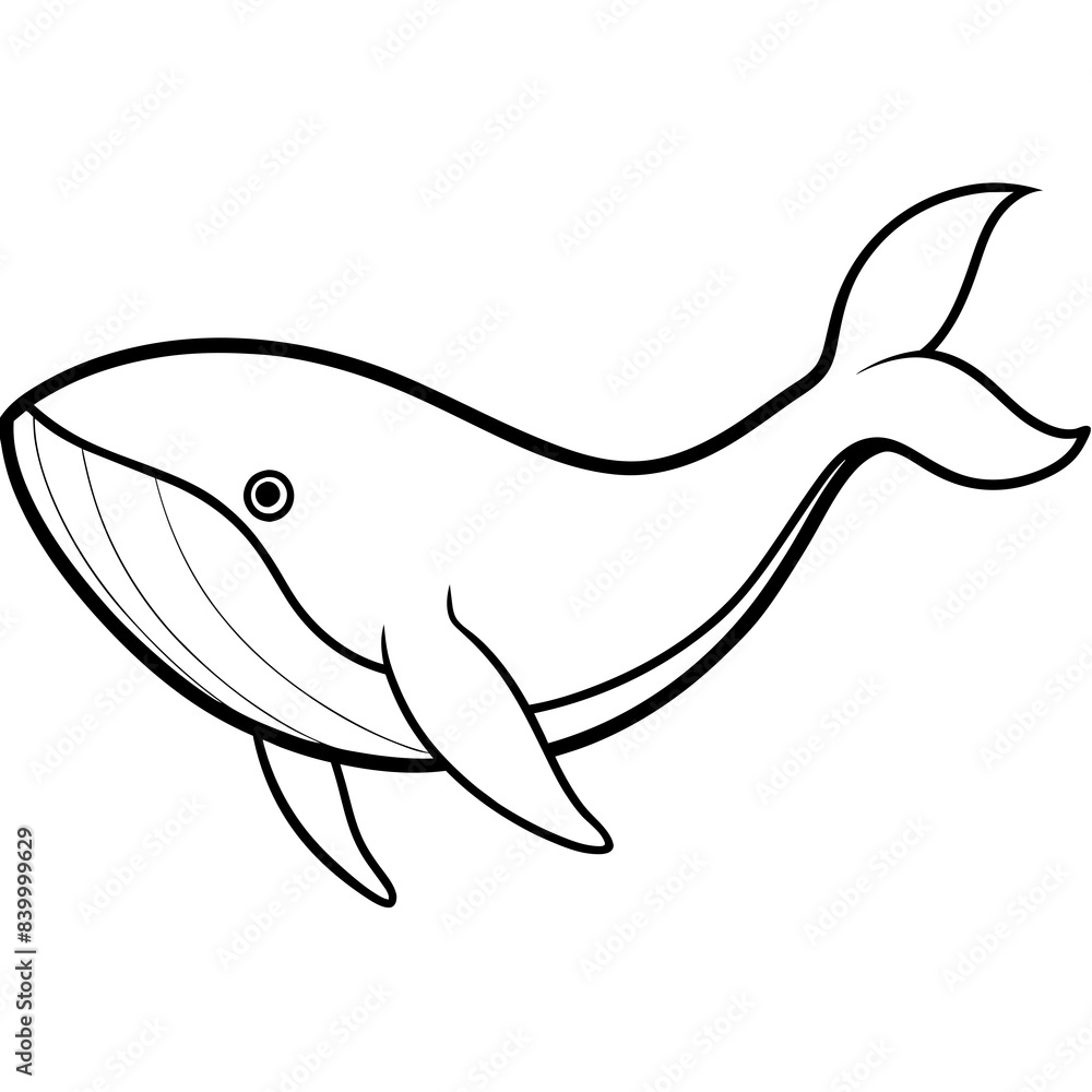 Whale line art vector illustration. Whale line art vector illustration.