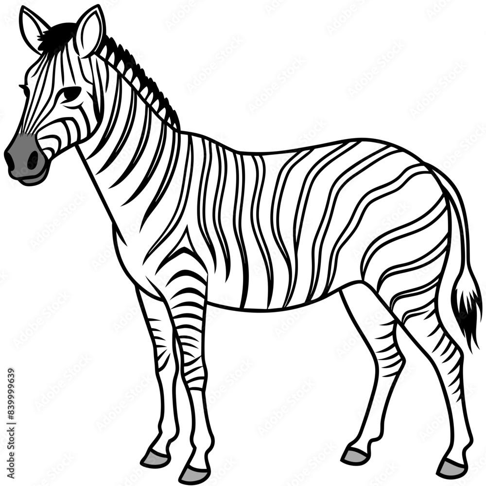 Obraz premium zebra line art vector illustration.