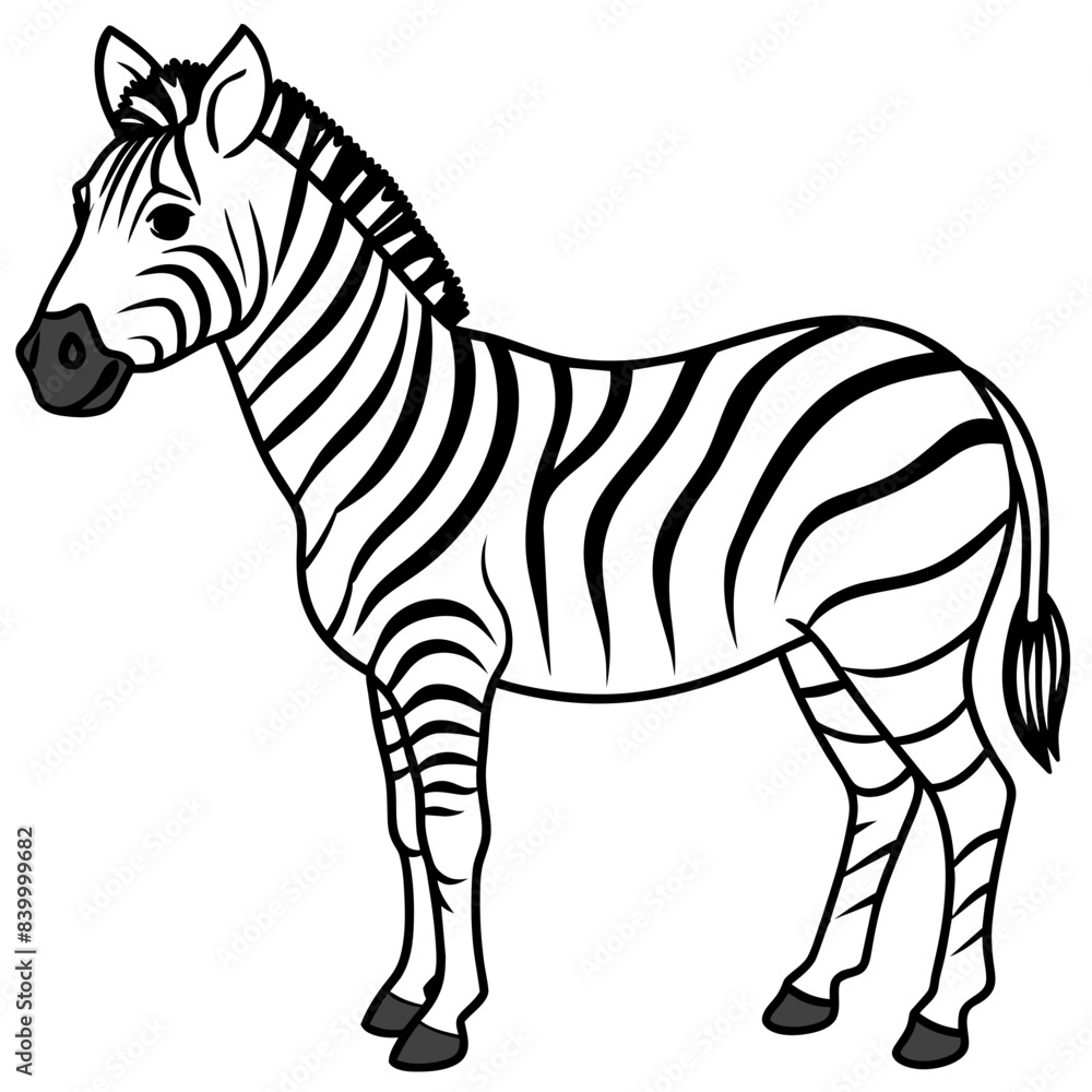Fototapeta premium zebra line art vector illustration.