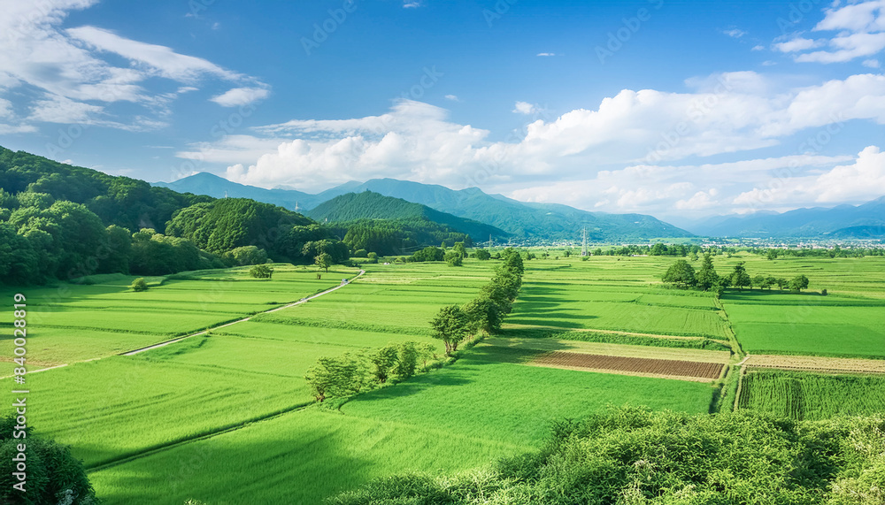 車窓から見た日本の田舎の風景 遠くに臨む夏の森林、山々と田園田んぼの続く農地と野原 夏の青空と雲 Stock-Foto | Adobe Stock
