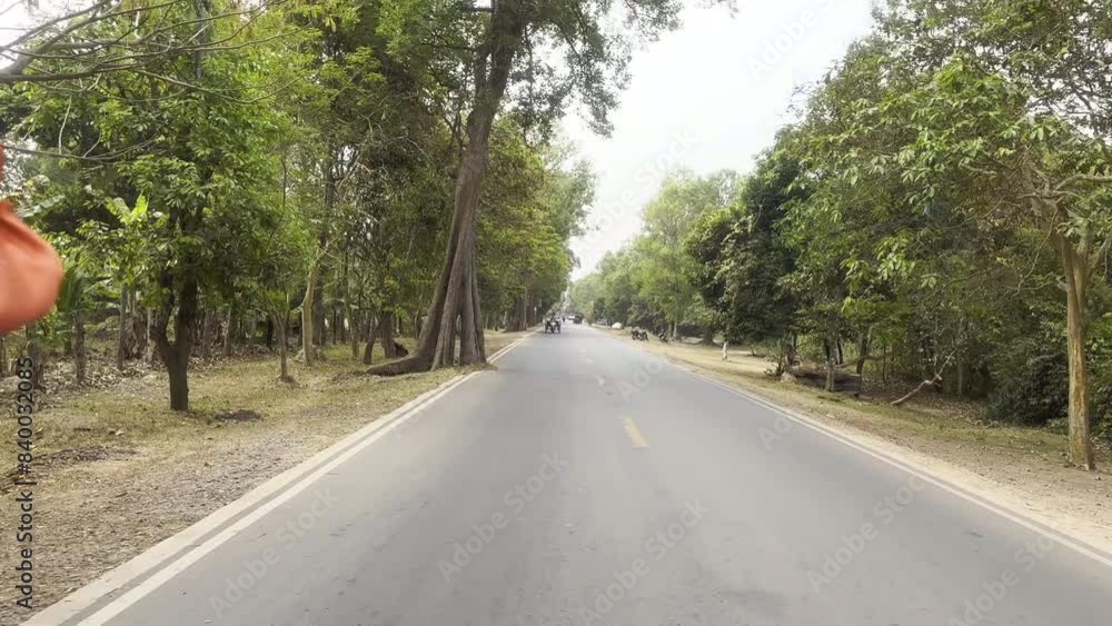 Back facing view of a vehicle driving down the road. Rear view from a tuk tuk ride in Angkor Wat with jungle surroundings. FPV driving on road. Siem Reap, Cambodia. Back facing view of a vehicle driving down the road. Rear view from a tuk tuk ride in Angkor Wat with jungle surroundings. FPV driving on road. Siem Reap, Cambodia.