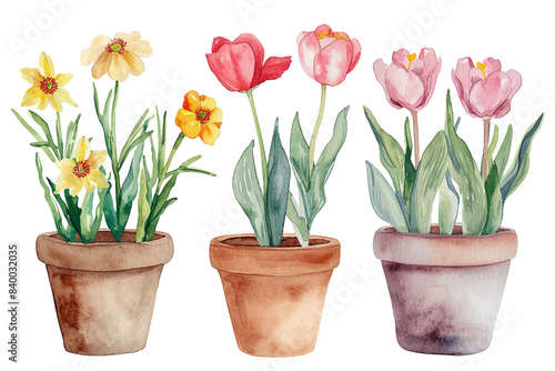 Set of watercolor painting spring or summer flowers and leaves branch in pot garden plants vector illustration