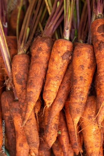 carrots on the market	