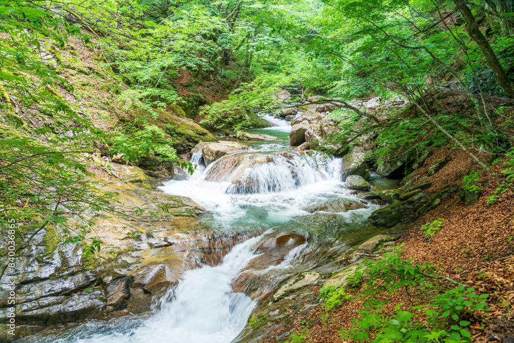 新緑の西沢渓谷 新緑の西沢渓谷