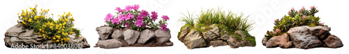 Flower bed rock png element set on transparent background