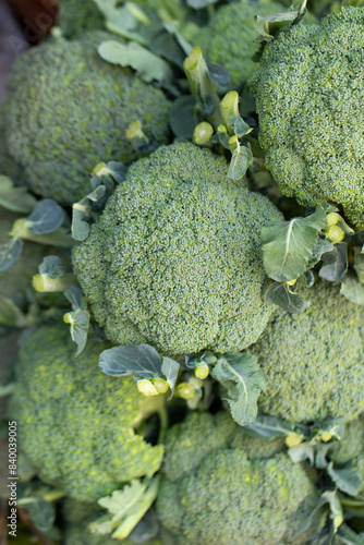 broccoli on the market
