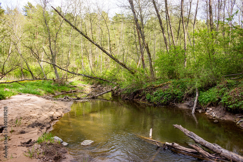 A small forest river with a sandy bank. Borinka River, Borovsky district, Kaluga region © PhotoChur