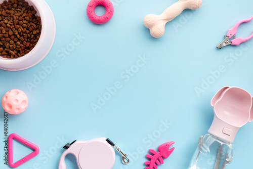 Colorful pet accessories arranged on a blue background, perfect for articles on pet care essentials.