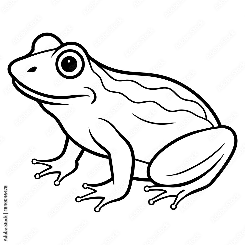 Naklejka premium frog line art vector illustration.