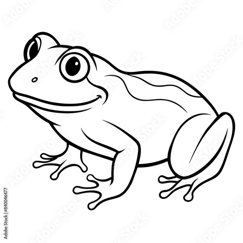 frog line art vector illustration.
